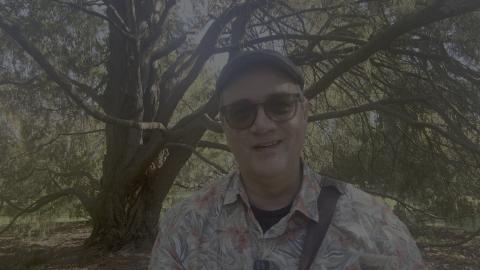 On my bench in Christchurch Botanic Gardens