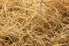 Haystack and Needles